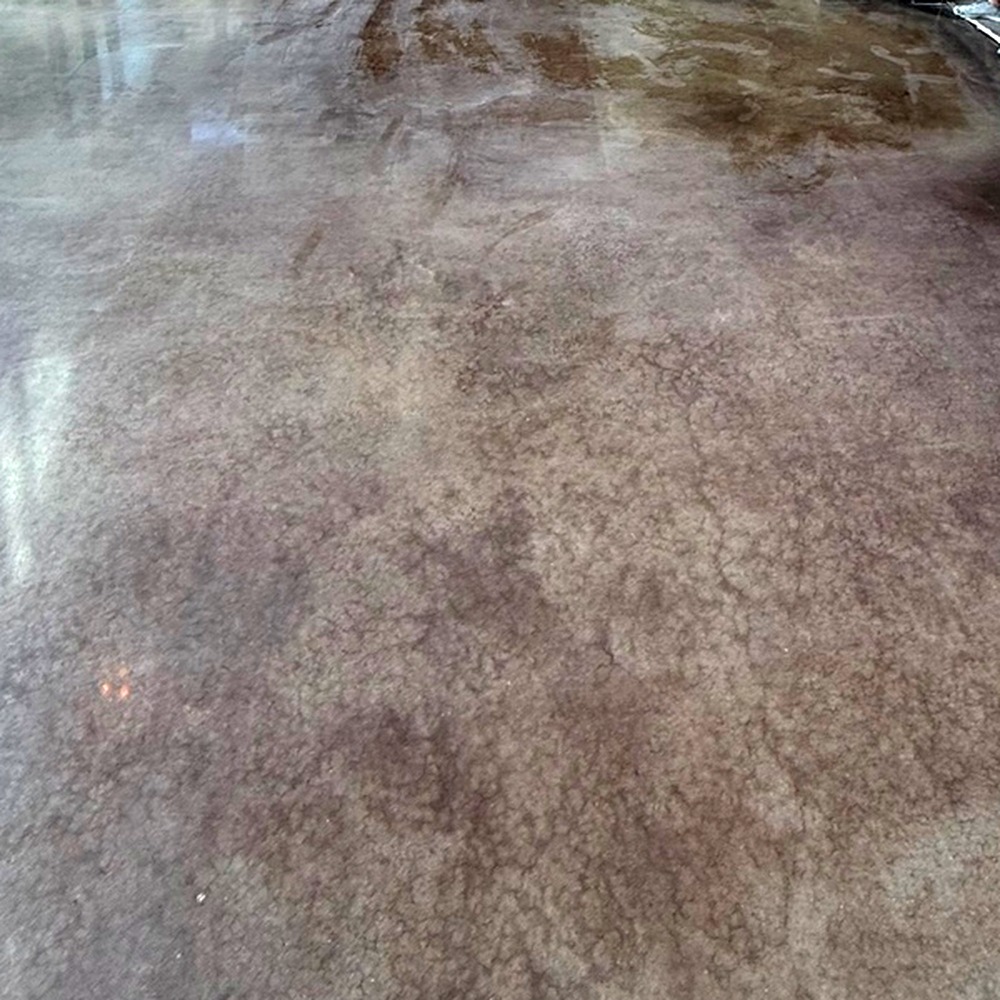 Stained concrete floor with rich mottled brown tones and a glossy sealed finish
